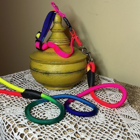 Rainbow‎ Cat harness with leash - Picture 2 of 3